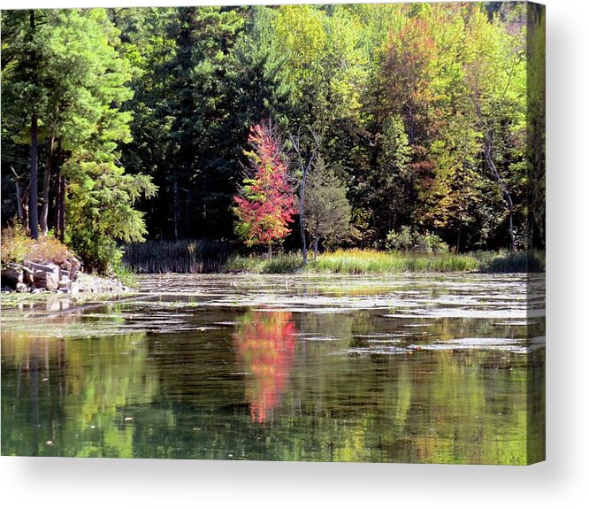 1000 Islands Acrylic Print featuring the photograph Reflections on the Rift by Dennis McCarthy