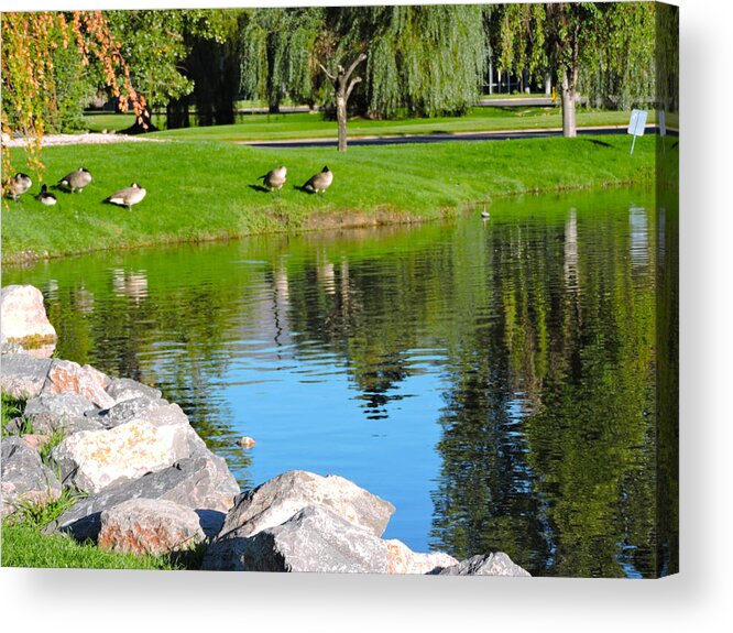 Reflections Acrylic Print featuring the photograph Reflections by Roberts Photography