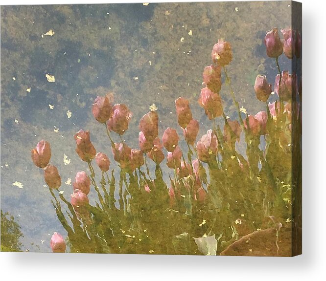 Reflection Of Red Tulips Acrylic Print featuring the photograph Remembering Tulips by Yuri Tomashevi