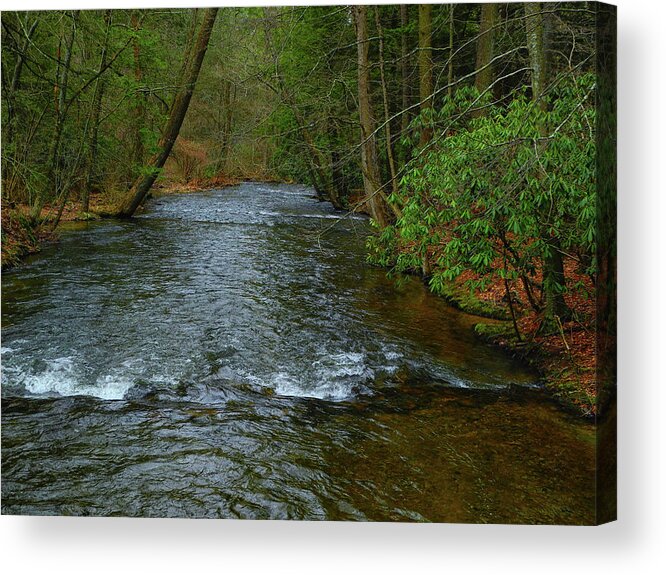 River In Caledonia State Park Along The At Acrylic Print featuring the photograph River in Caledonia State Park Along the AT by Raymond Salani III