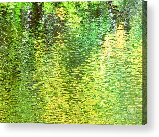 Water Acrylic Print featuring the photograph River Sanctuary by Sybil Staples