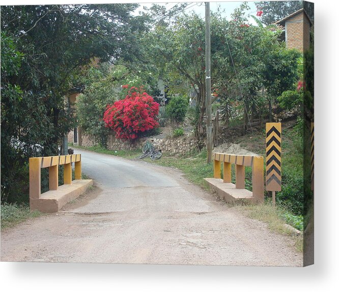 Digital Art Acrylic Print featuring the photograph Road 1 by Carlos Paredes Grogan