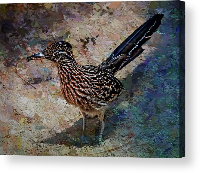 Roadrunner Acrylic Print featuring the painting Roadrunner Making Nest by Penny Lisowski