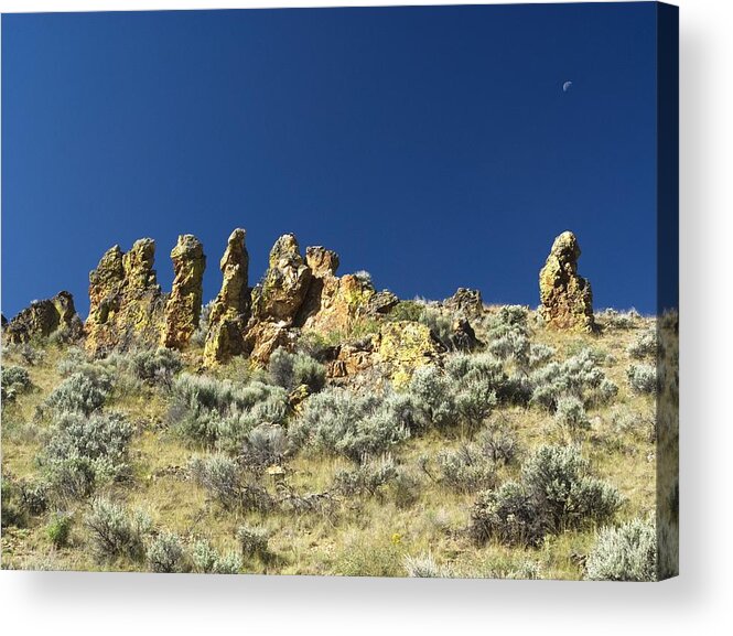 Desert Acrylic Print featuring the photograph Rocks by Sara Stevenson