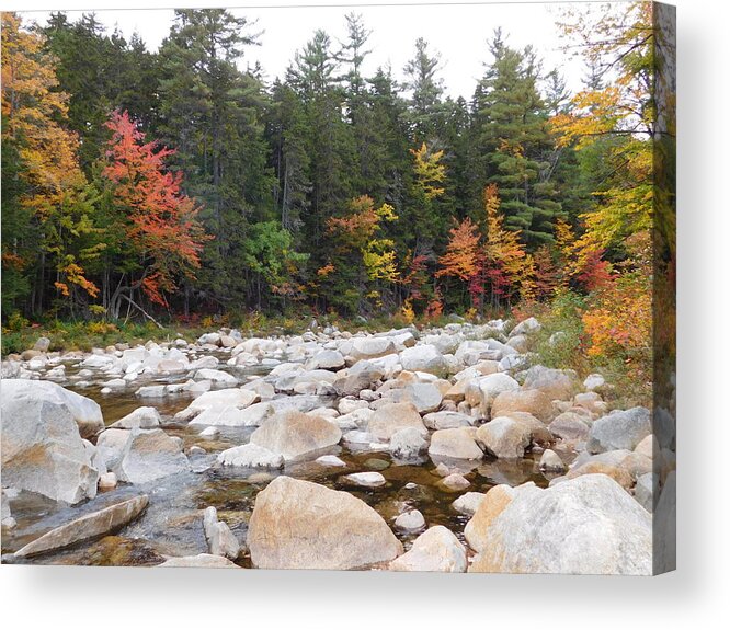 Swift River Acrylic Print featuring the photograph Rocky Swift River by Catherine Gagne