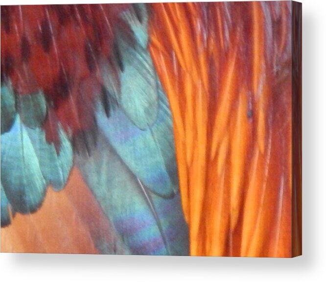 Rooster Acrylic Print featuring the photograph Rooster Art Palette by Jan Gelders