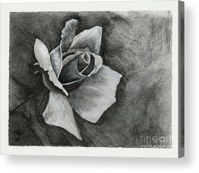 Drawing Acrylic Print featuring the drawing Rose1 by Terri Mills