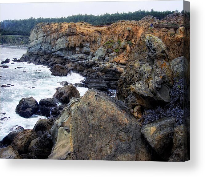 Pacific Ocean Acrylic Print featuring the photograph Rugged Pacific by Donna Blackhall