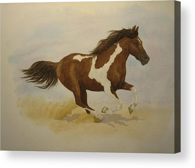 Paint Horse Acrylic Print featuring the painting Running Paint by Jeff Lucas