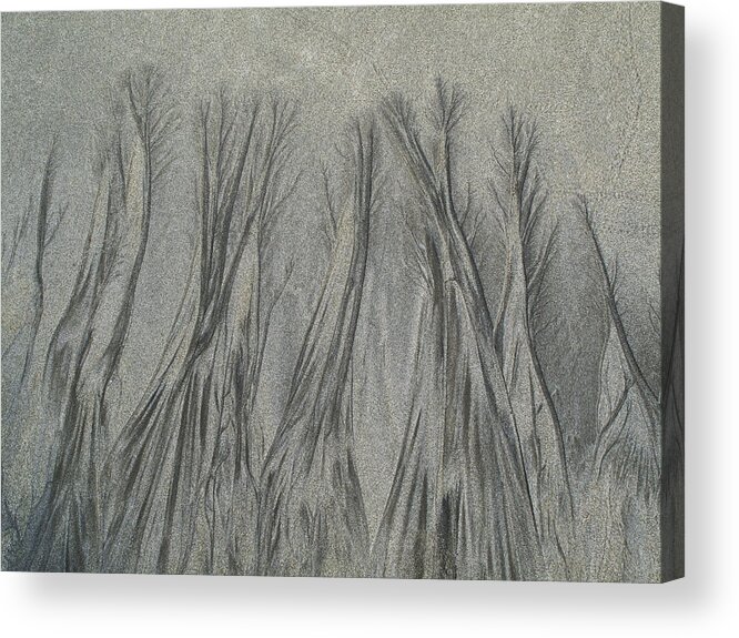 Sand Acrylic Print featuring the photograph Sand Reels by Joe Palermo