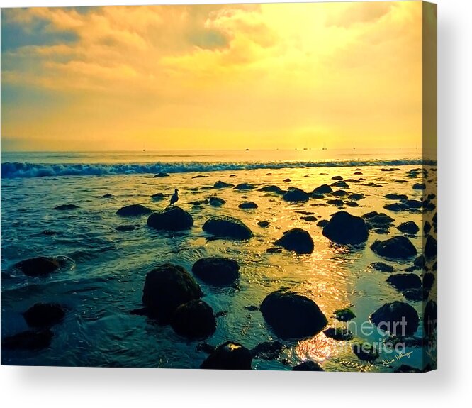 Photo Acrylic Print featuring the photograph Santa Barbara California Ocean Sunset by Alicia Hollinger