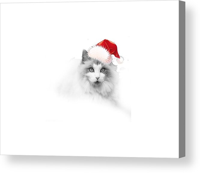 Santa Acrylic Print featuring the digital art Santa Kitty by Kathleen Illes