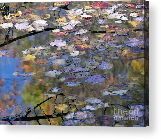 Abstract Acrylic Print featuring the photograph Scituate Autumn Abstract 2015 by Lili Feinstein