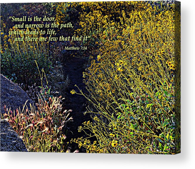 Ministry Gifts Acrylic Print featuring the photograph Scripture - Matthew 7 Verse 14 by Glenn McCarthy Art and Photography