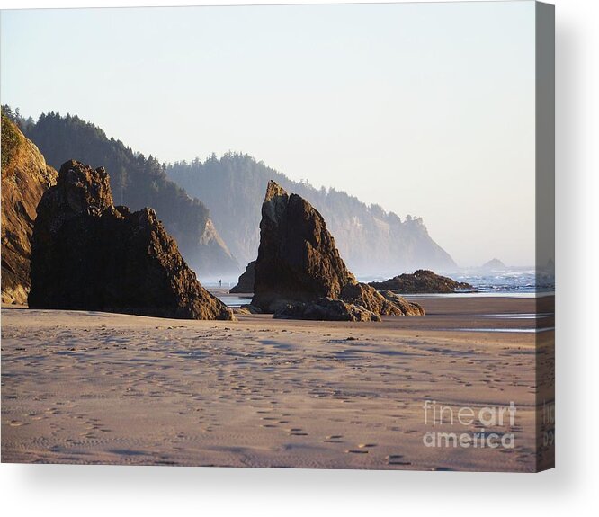 Sea Acrylic Print featuring the photograph Sea Cliffs by Julie Rauscher