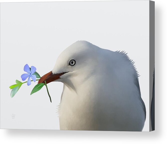 Seagull Acrylic Print featuring the painting Seagull by Ivana Westin