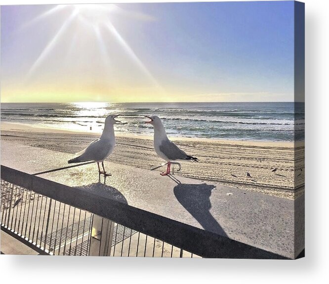 Two Seagulls Acrylic Print featuring the photograph Seagull Sonnet by Az Jackson