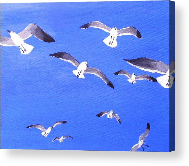 Seagulls Acrylic Print featuring the painting Seagulls Overhead by Anne Marie Brown