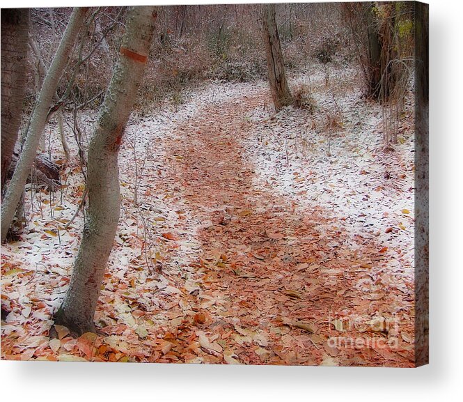 Greenough Park Acrylic Print featuring the photograph Season's Change by Katie LaSalle-Lowery