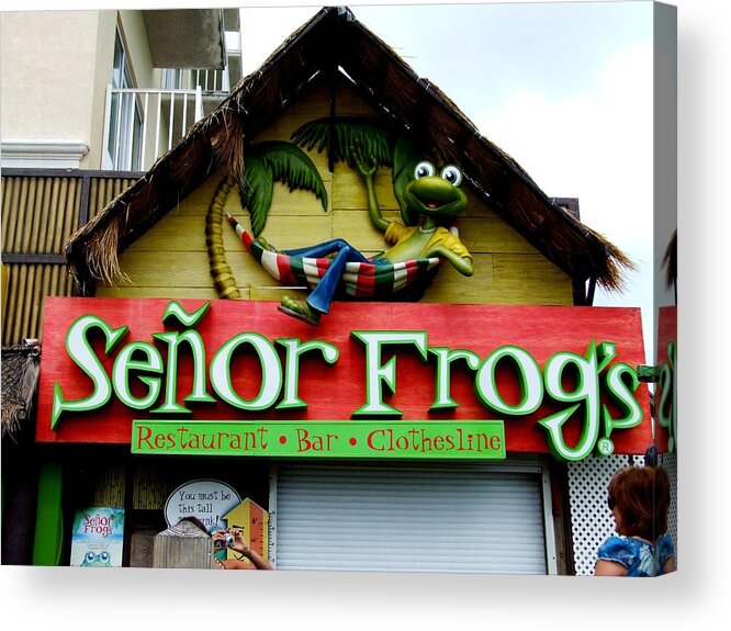 Senor Frogs Acrylic Print featuring the photograph Senor Frogs by Michiale Schneider