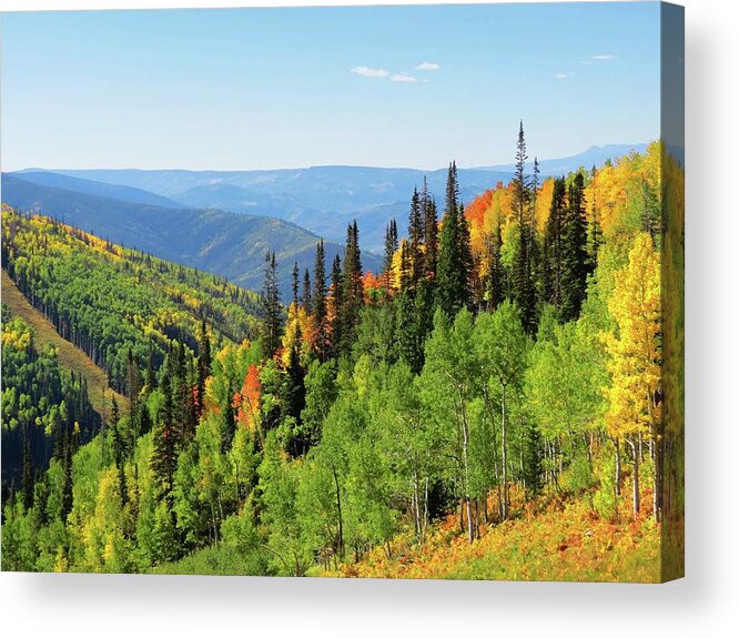Fall Acrylic Print featuring the photograph September in Steamboat Springs by Connor Beekman