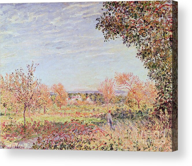 September Morning Acrylic Print featuring the painting September Morning by Alfred Sisley