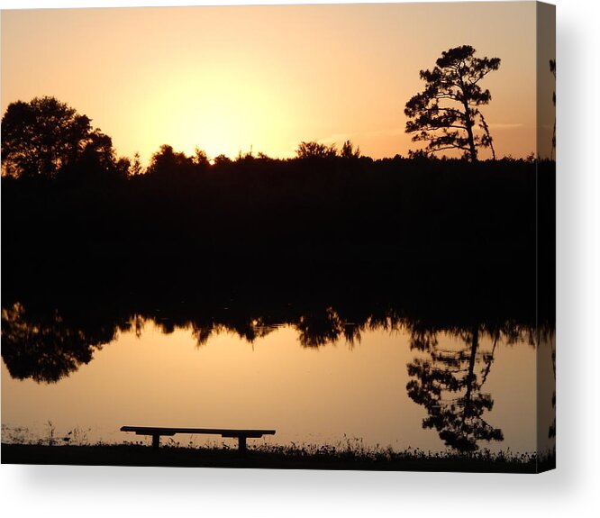 Sunset Sun Horizon Pond Reflections Bench Water Trees Nature Landscape Woods Acrylic Print featuring the photograph Serene Sundown by Jan Gelders