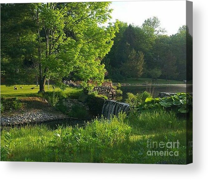 Landscape Acrylic Print featuring the photograph Serenity by Dani McEvoy