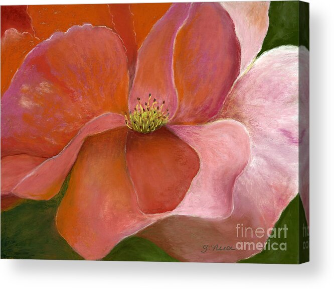 Flower Acrylic Print featuring the painting Shades of Pink by Ginny Neece