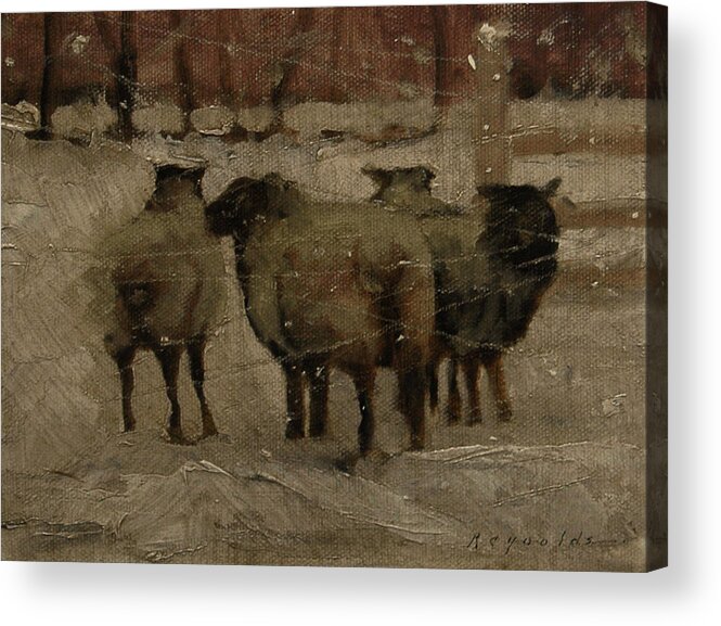 Acrylic Print featuring the painting Sheep In The Snow by John Reynolds