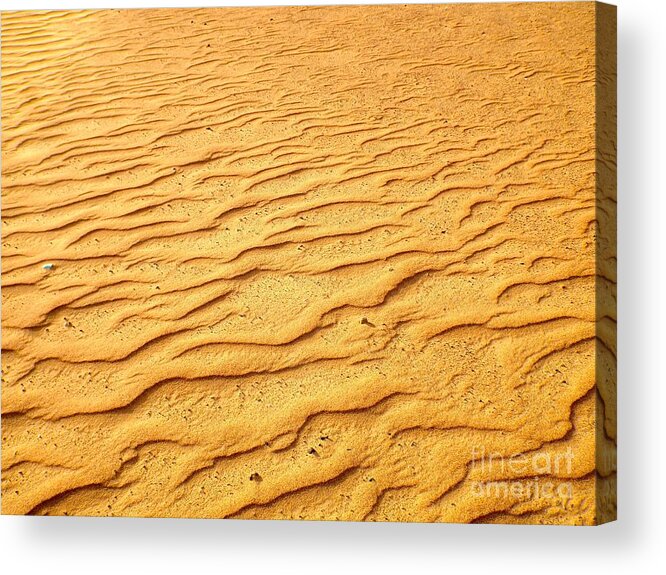 Horizontal Acrylic Print featuring the photograph Shifting Sands by Barbara Von Pagel