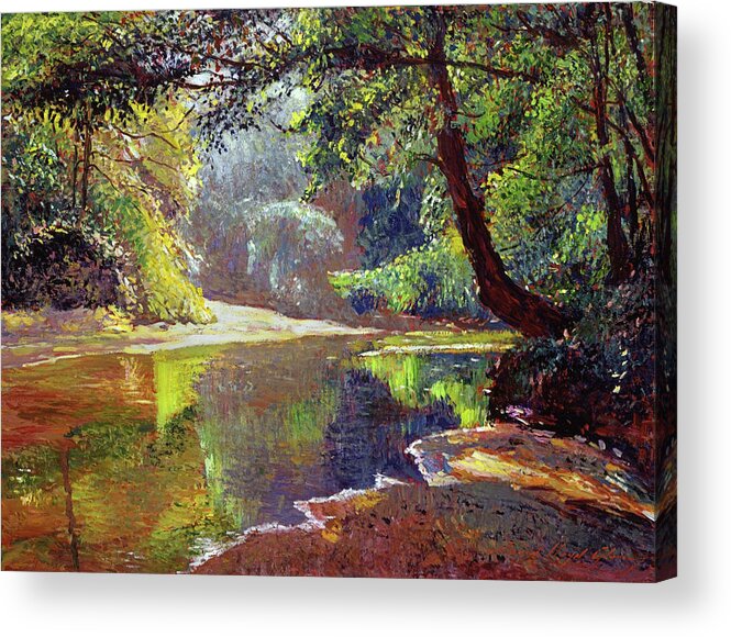 Impressionist Acrylic Print featuring the painting Silent River by David Lloyd Glover