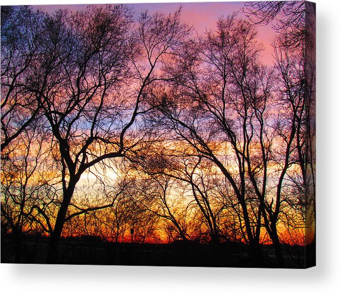 Photograph Acrylic Print featuring the photograph Silhouette Sunset 43017 by Delynn Addams