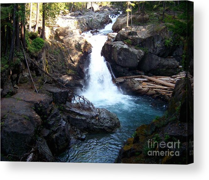 Silver Falls Acrylic Print featuring the photograph Silver Falls by Charles Robinson