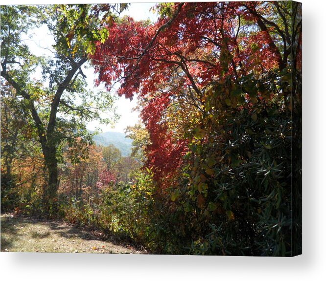 Smoky Mountains Acrylic Print featuring the photograph Smokies 13 by Val Oconnor