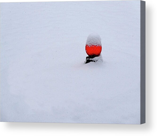 Snow Acrylic Print featuring the photograph Snow Globe by Nick Kloepping