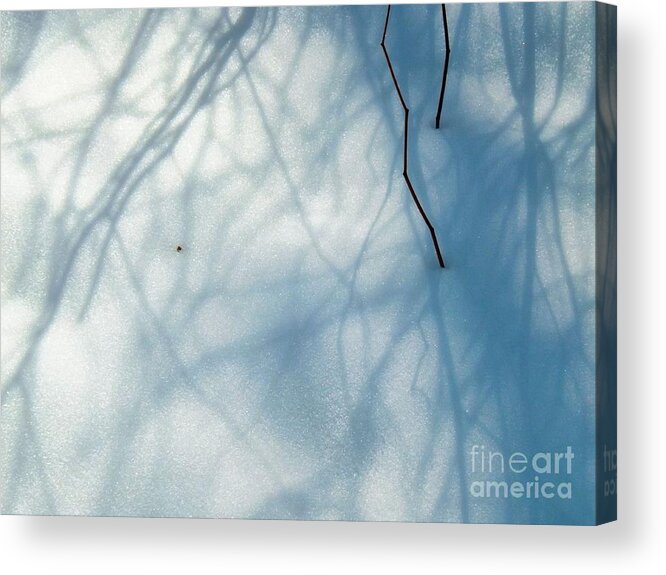 Snow Acrylic Print featuring the photograph Snow White by Robyn King