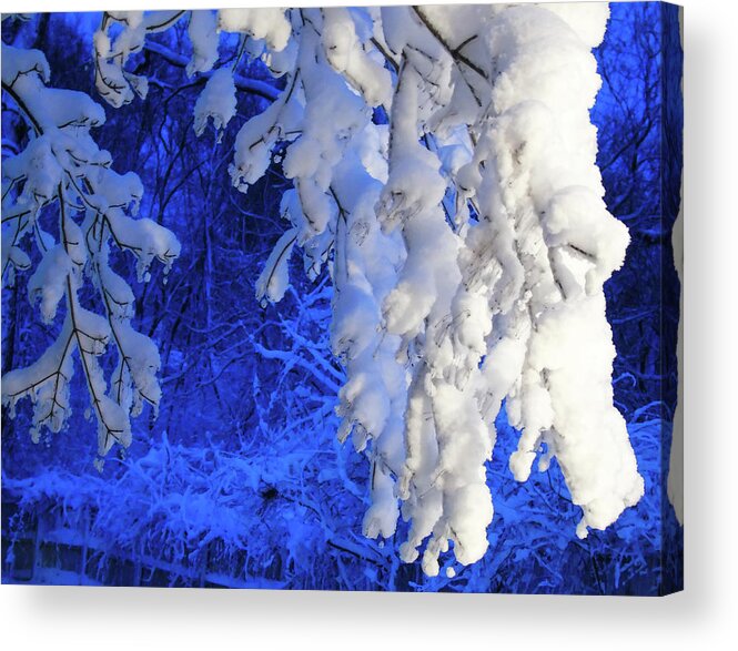 Blue Acrylic Print featuring the photograph Snowy Blue Morning by Susan Lafleur