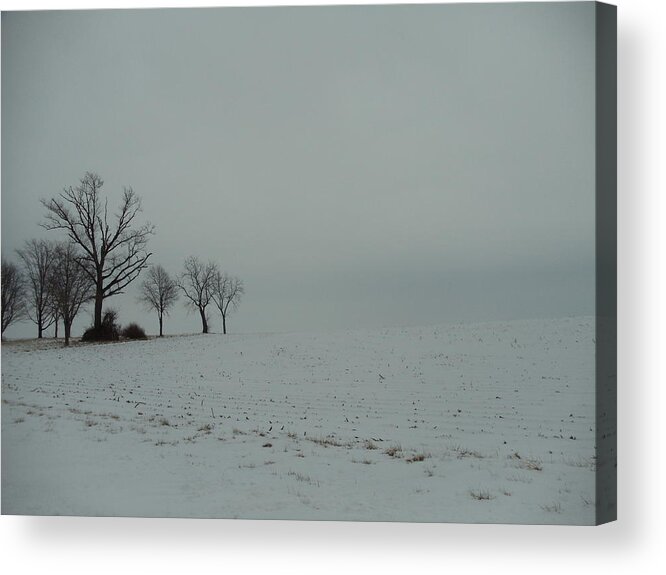 Landscape Acrylic Print featuring the photograph Snowy Illinois Field by David Junod