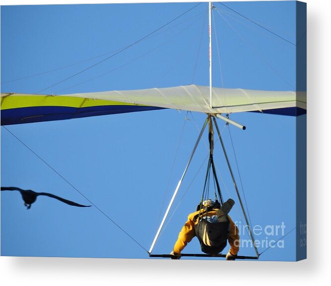  Hang Gliding-hang-glider-gliding-sport Acrylic Print featuring the photograph Soaring Together by Scott Cameron