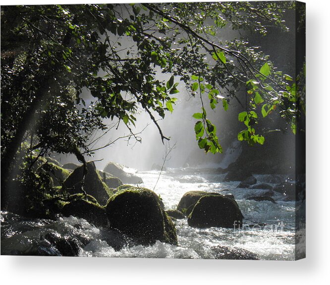 River Falls Rocks Moss Trees Leaves Water Light Shadow Green White Grey Black Brown Mist Branches Foam Shiny Landscape Sunlight Acrylic Print featuring the photograph Solace by Ida Eriksen