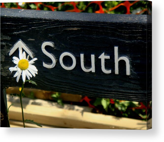 South Acrylic Print featuring the photograph South by Roberto Alamino