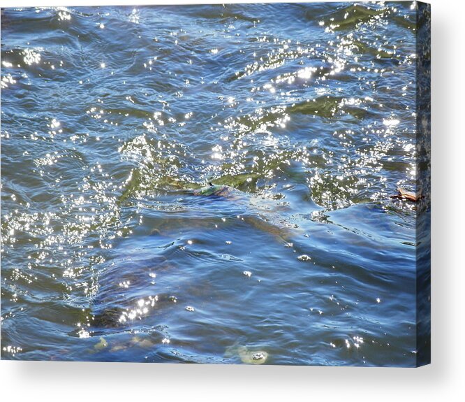 Water Acrylic Print featuring the photograph Sparkling Waters by Deborah Kunesh