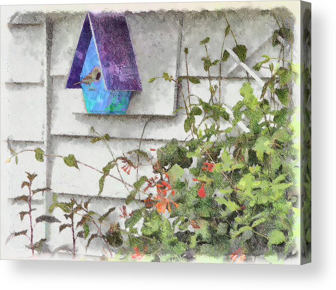 Nest Acrylic Print featuring the digital art Sparrow At Home by Leslie Montgomery
