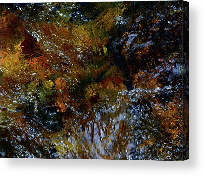 Color Close-up Landscape Acrylic Print featuring the photograph Spring 2017 109 by George Ramos