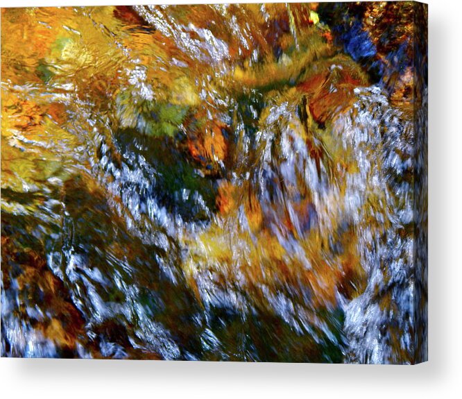 Color Close-up Landscape Acrylic Print featuring the photograph Spring 2017 117 by George Ramos