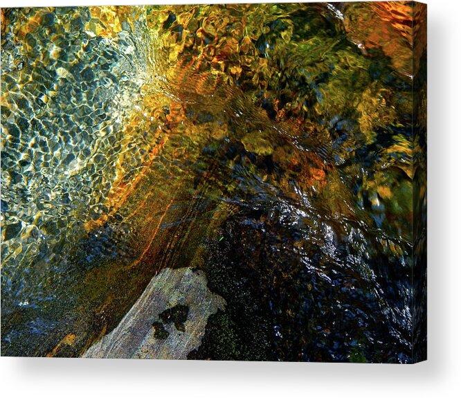 Color Close-up Landscape Acrylic Print featuring the photograph Spring 2017 130 by George Ramos
