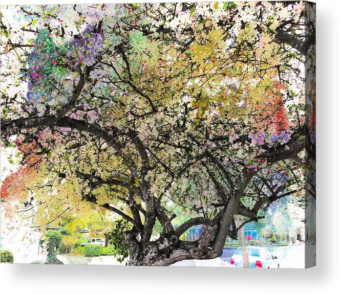 Spring Acrylic Print featuring the photograph Spring Blooms by Leslie Hunziker