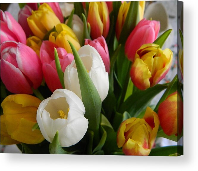 Tulip Acrylic Print featuring the photograph Spring Mix 2016 by Karen Mesaros