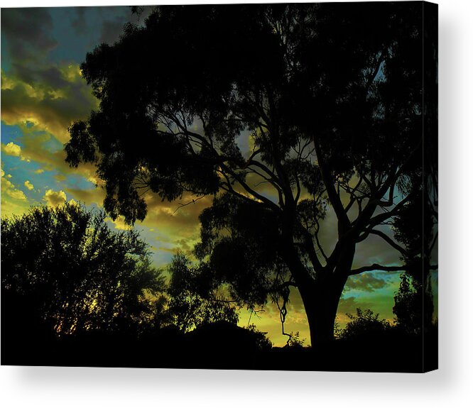 Sunrise Acrylic Print featuring the photograph Spring Morning by Mark Blauhoefer